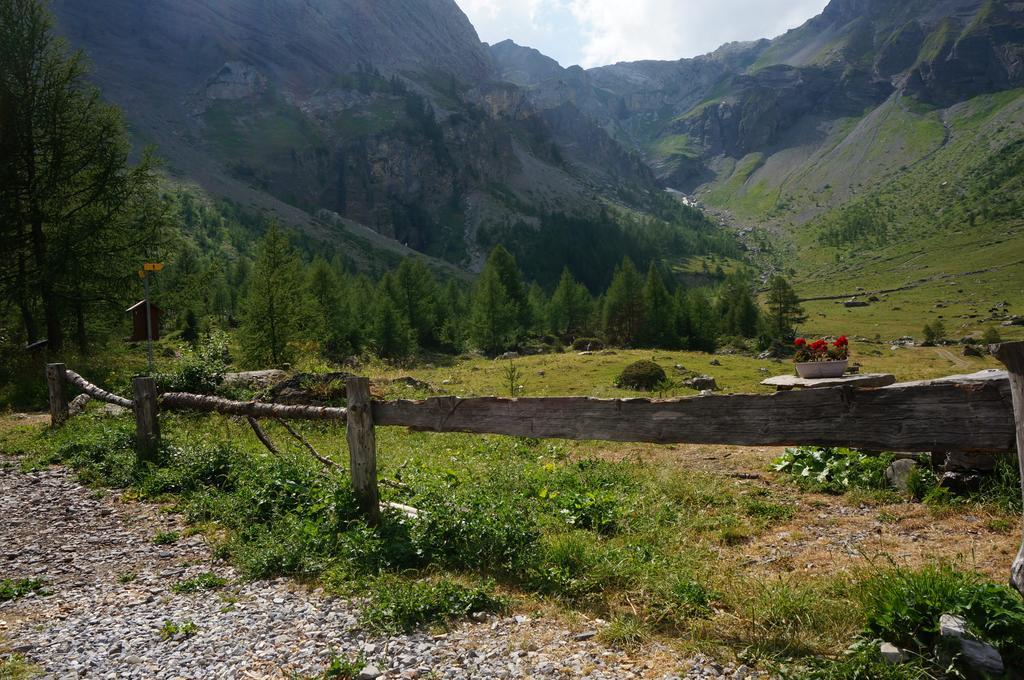Bnb Valais - By La Sittelle Grimisuat Екстер'єр фото