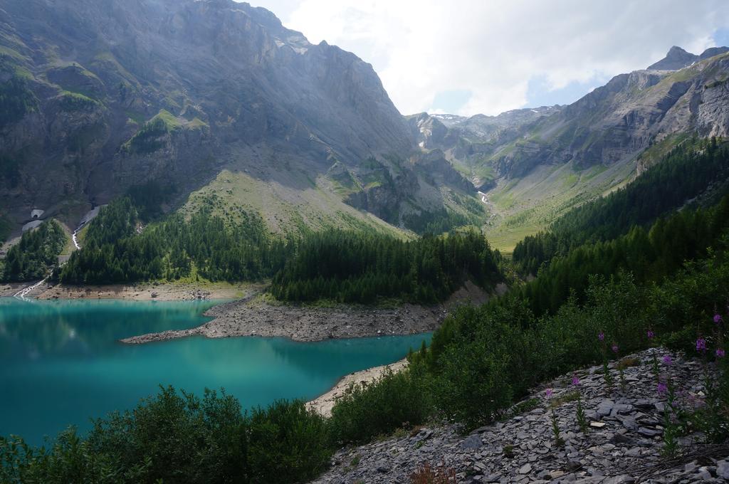 Bnb Valais - By La Sittelle Grimisuat Екстер'єр фото